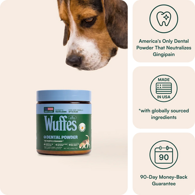 Dental Powder
