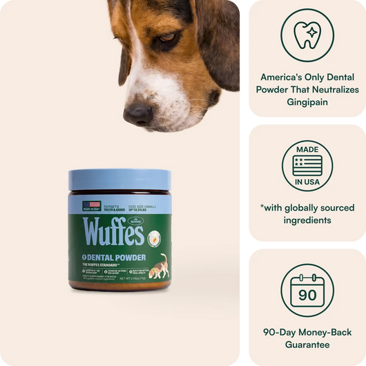 Dental Powder
