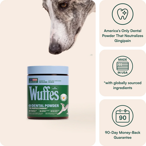 Dental Powder
