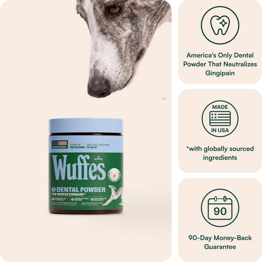 Dental Powder