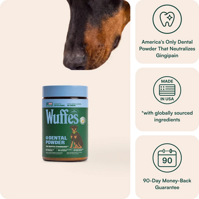 Dental Powder