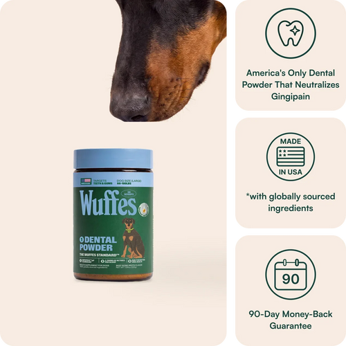 Dental Powder