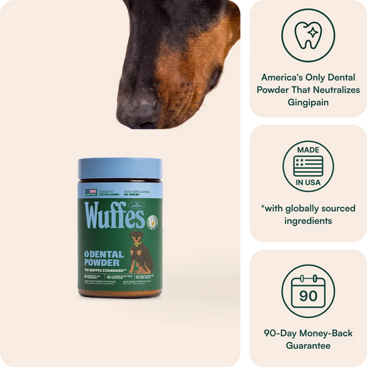 Dental Powder