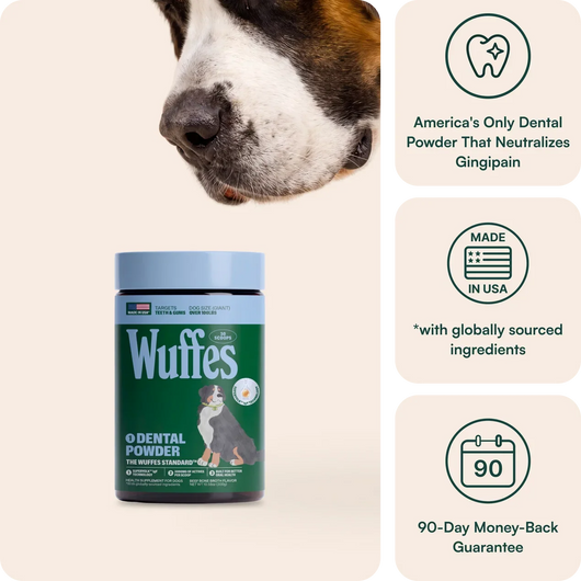 Dental Powder