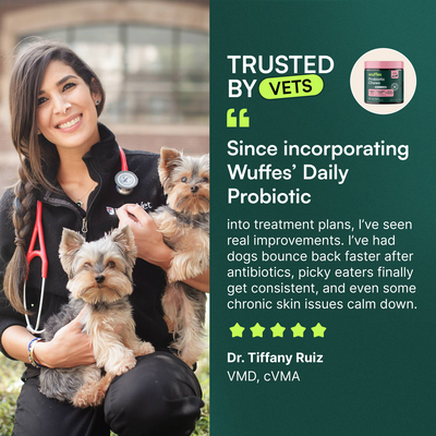 Probiotic Chews + Omega 3 Fish Oil 16oz