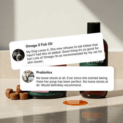 Probiotic Chews + Omega 3 Fish Oil 16oz