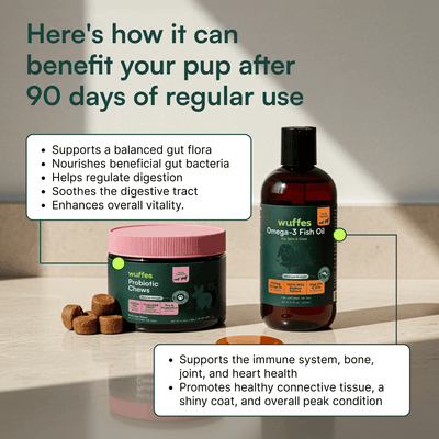Probiotic Chews + Omega 3 Fish Oil 16oz