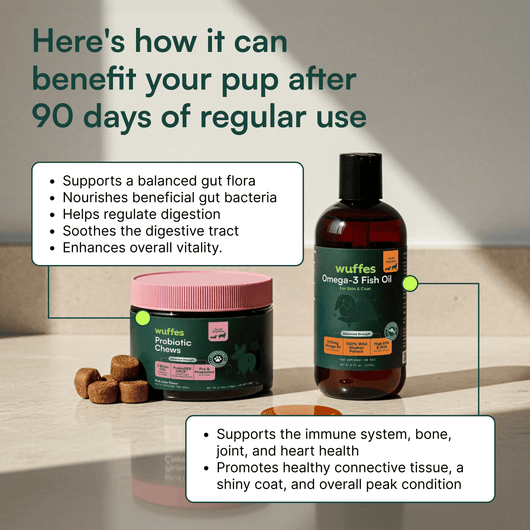 Probiotic Chews + Omega 3 Fish Oil 16oz