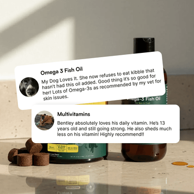 Multivitamin Chews + Omega 3 Fish Oil 16oz