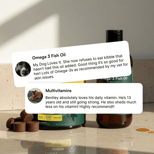 Multivitamin Chews + Omega 3 Fish Oil 16oz
