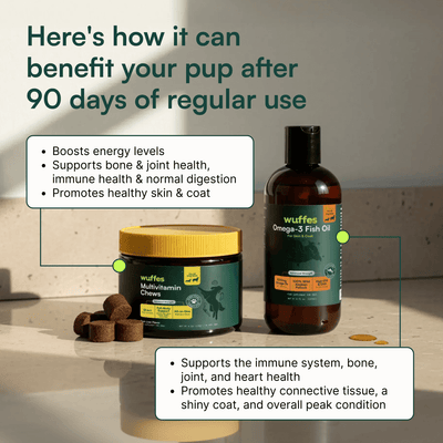 Multivitamin Chews + Omega 3 Fish Oil 16oz