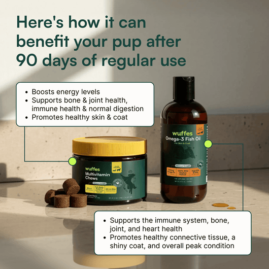 Multivitamin Chews + Omega 3 Fish Oil 16oz