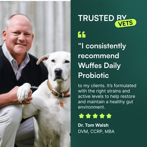 Probiotic Chews