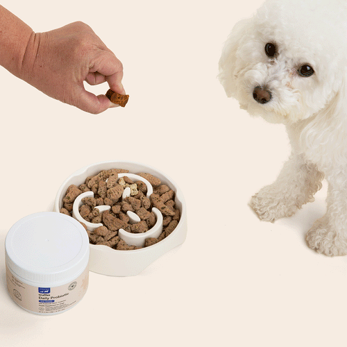 Probiotic Chews