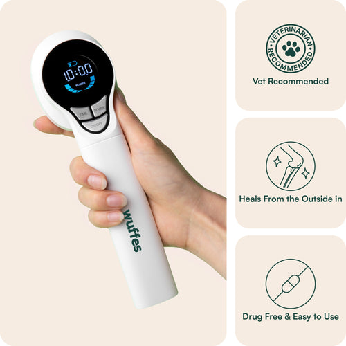 Portable Laser Therapy