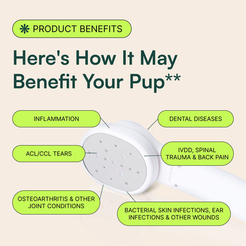 Portable Laser Therapy