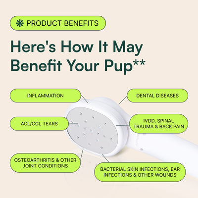 Portable Laser Therapy