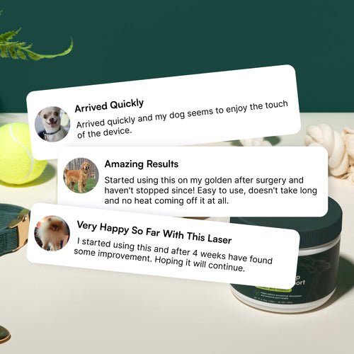 Portable Laser Therapy
