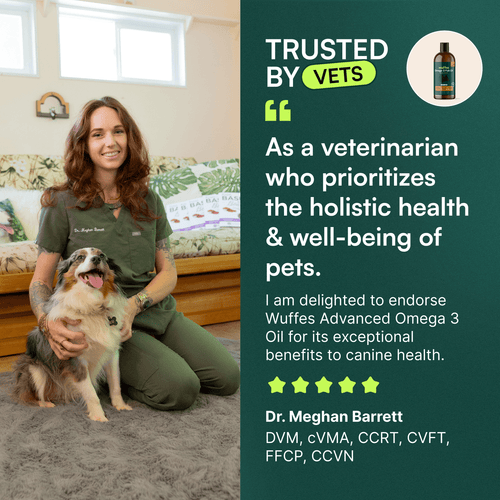 Multivitamin Chews + Probiotic Chews + Omega 3 Fish Oil 16oz