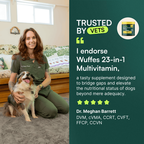 Multivitamin Chews + Probiotic Chews + Omega 3 Fish Oil 16oz