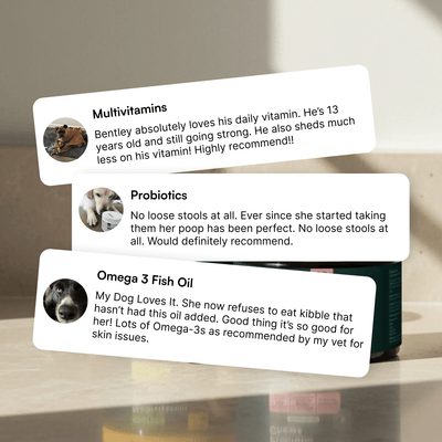 Multivitamin Chews + Probiotic Chews + Omega 3 Fish Oil 16oz