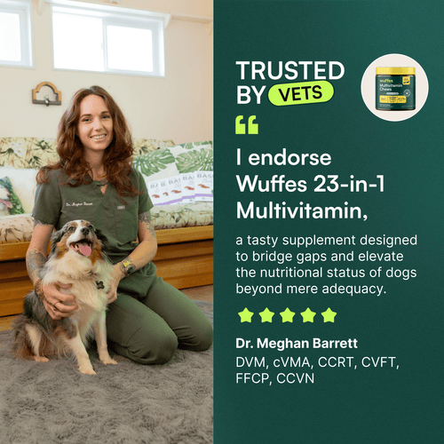 Multivitamin Chews + Probiotic Chews