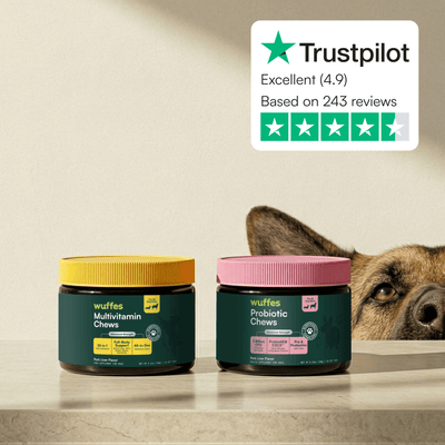 Multivitamin Chews + Probiotic Chews
