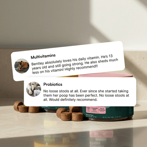Multivitamin Chews + Probiotic Chews