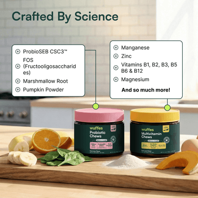 Multivitamin Chews + Probiotic Chews