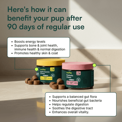 Multivitamin Chews + Probiotic Chews
