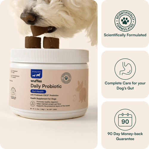 Probiotic Chews