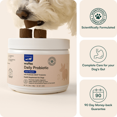 Probiotic Chews
