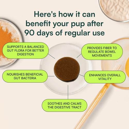 Probiotic Chews