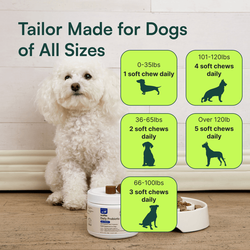 Probiotic Chews
