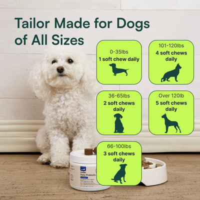Probiotic Chews