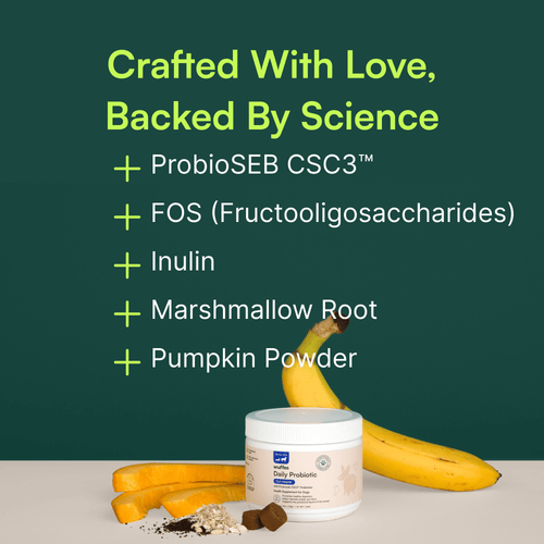 Probiotic Chews