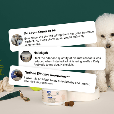 Probiotic Chews